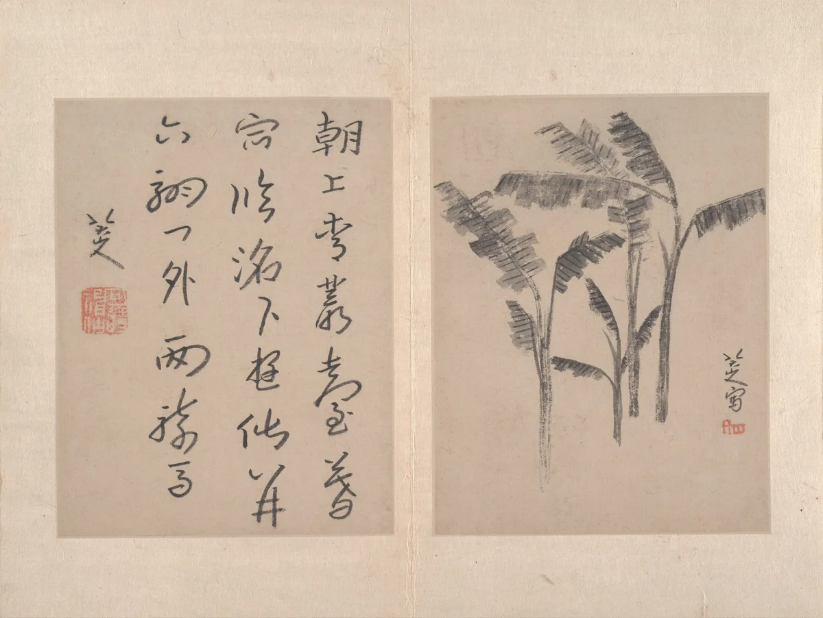 荷花翠鸟图