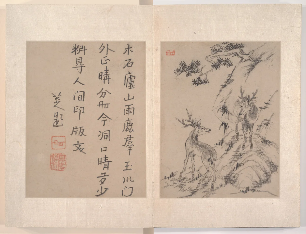 杂画册