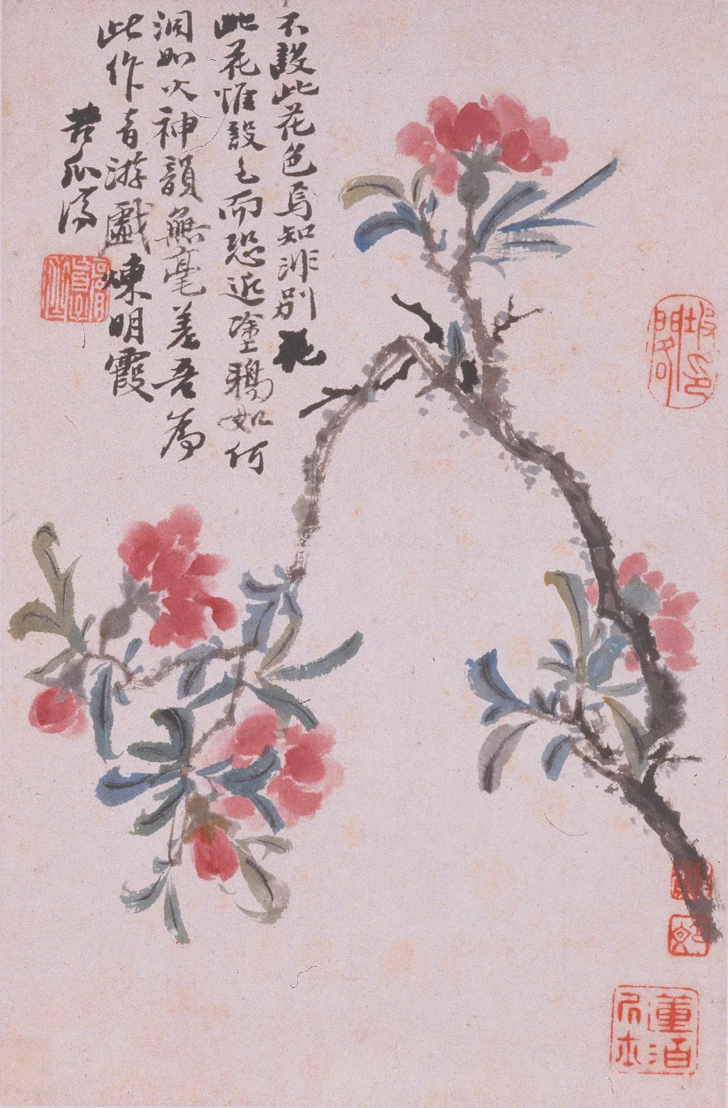 花卉册