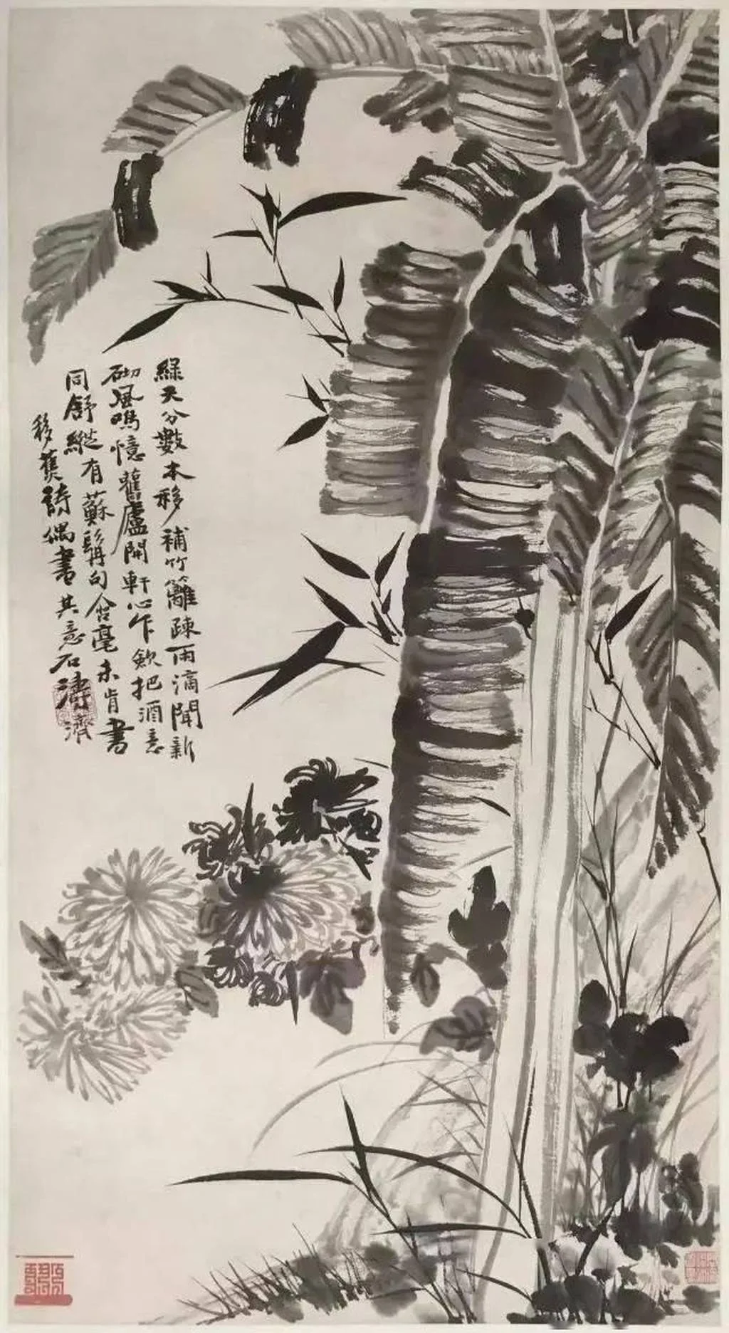 蕉菊图