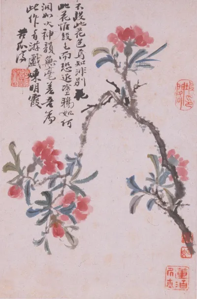花卉册