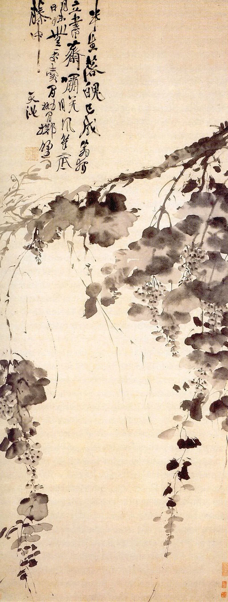 墨葡萄图