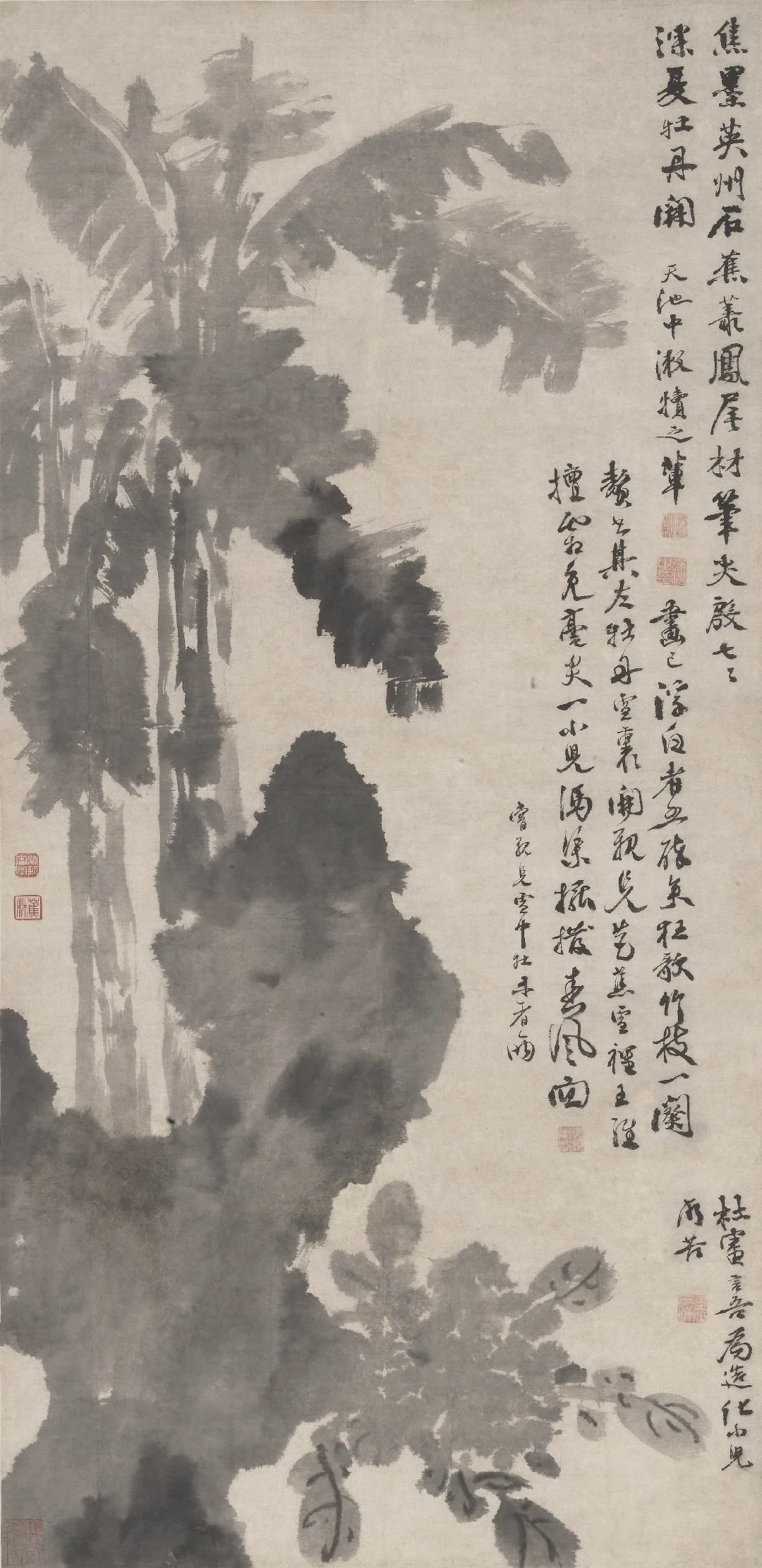 蕉石图