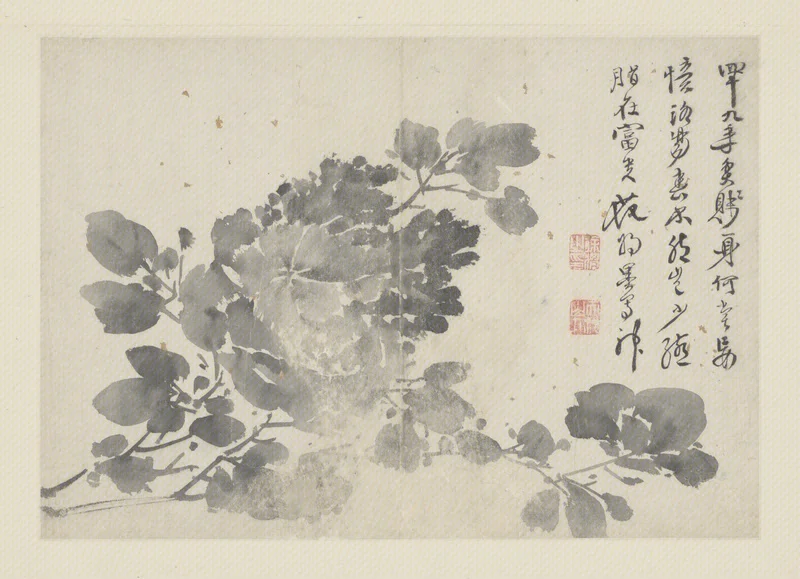 花卉图册