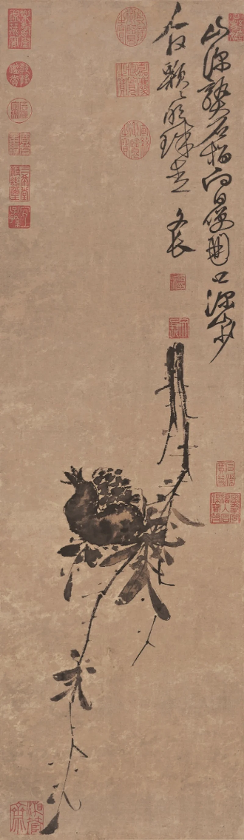石榴图