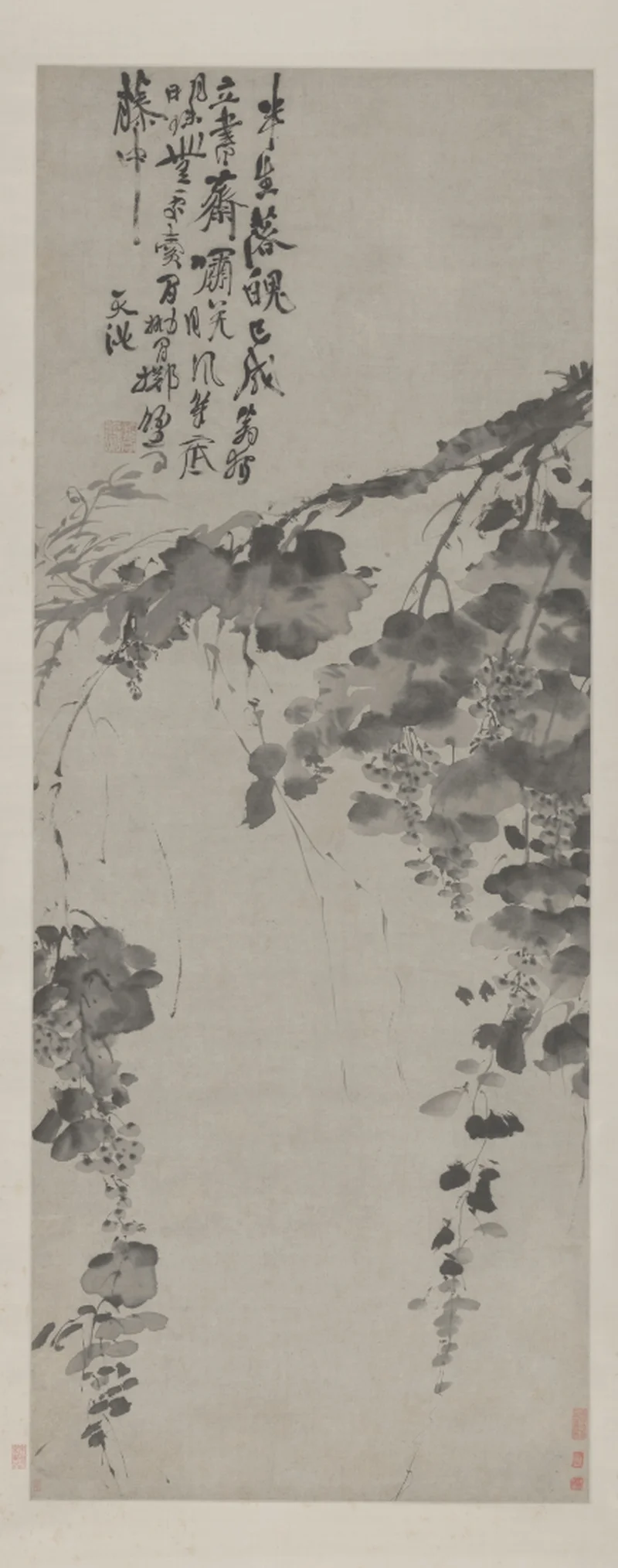 月下葡萄图