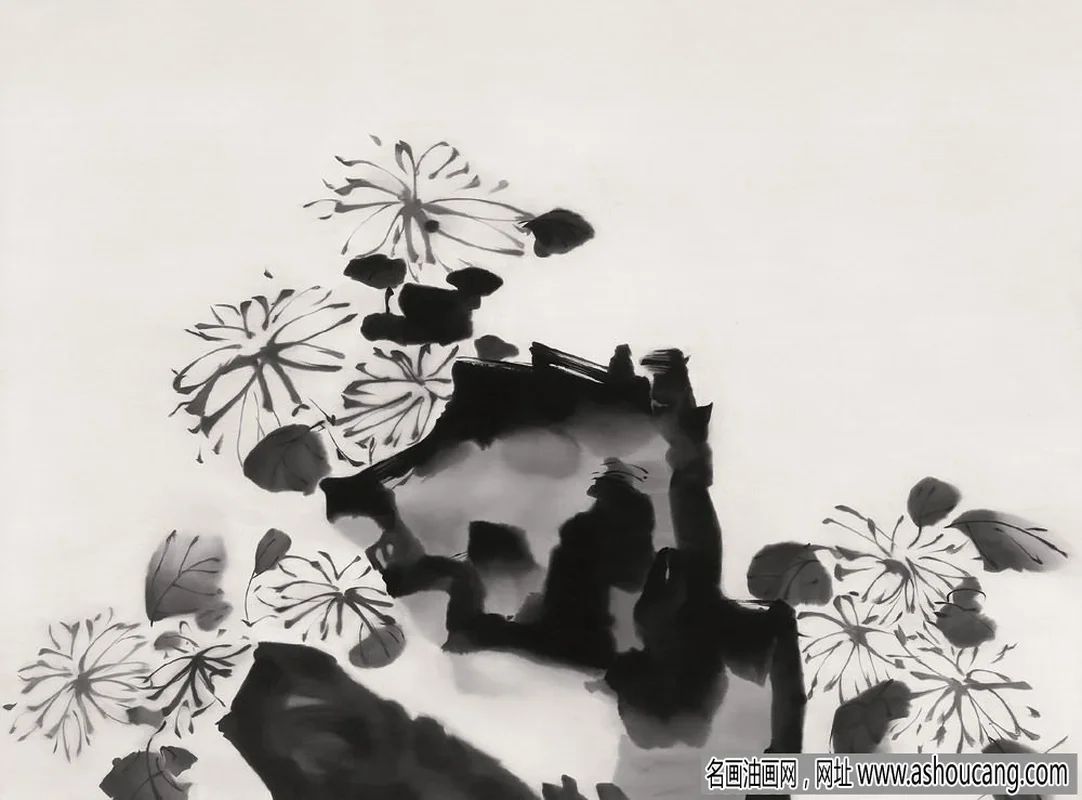菊石图