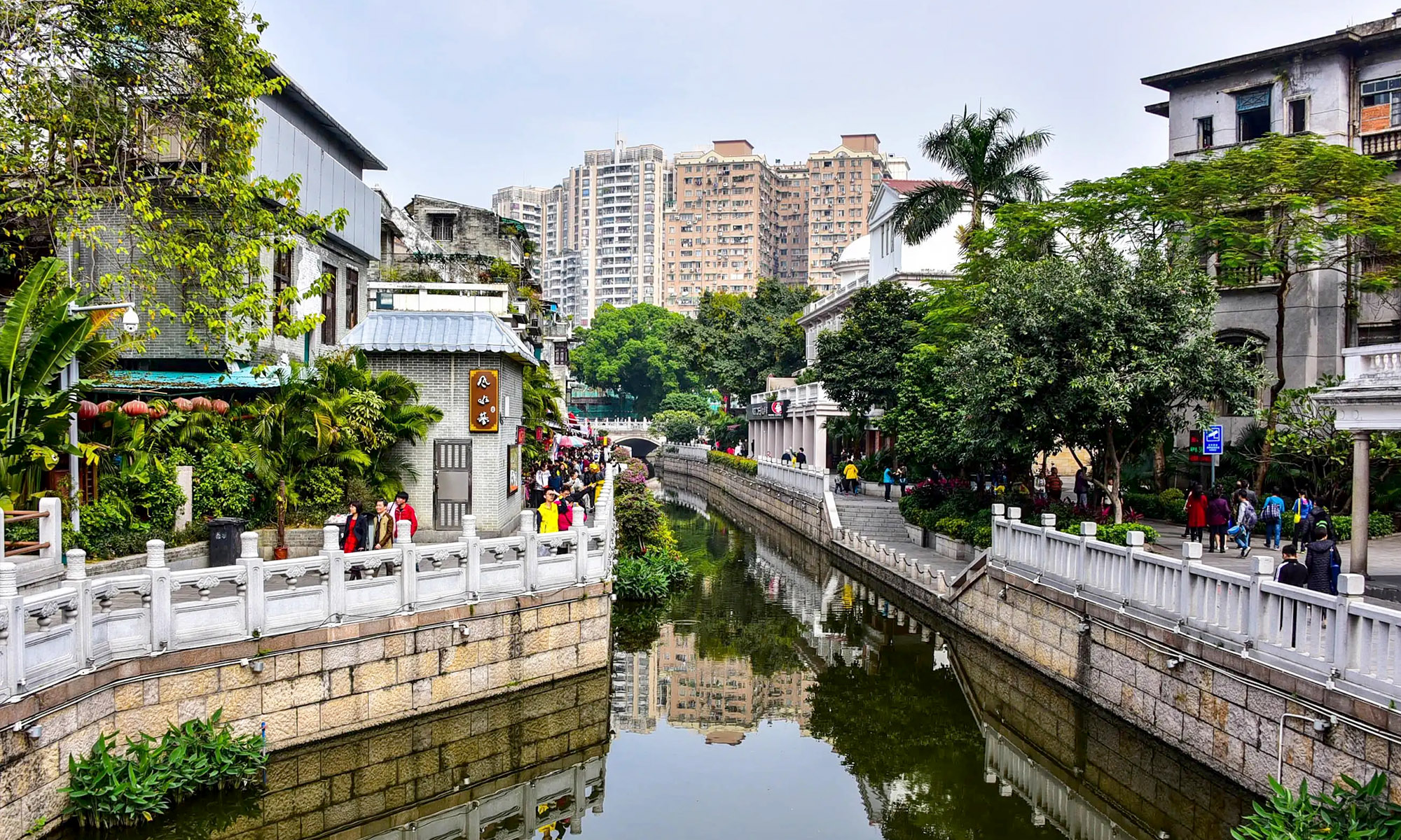 荔枝湾 配图